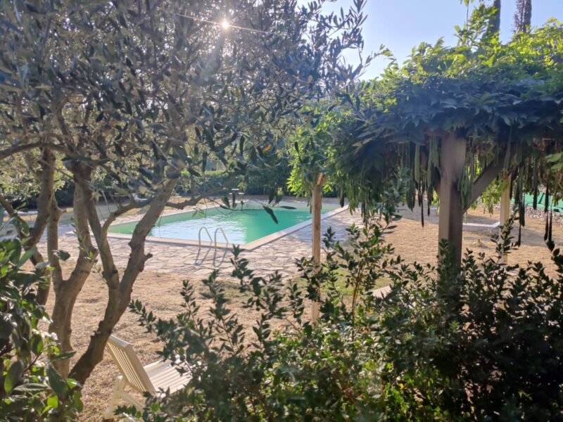 WhatsApp Image 2025-08-07 at 02.32.53 (1)