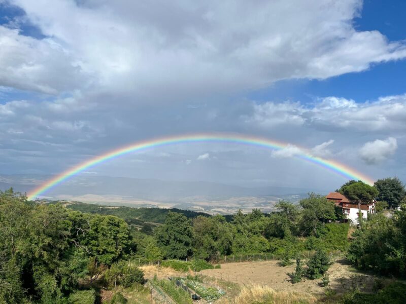 WhatsApp Image 2025-08-07 at 02.32.54 (1)