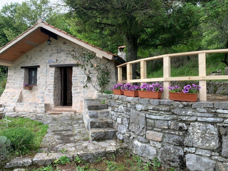 WhatsApp Image 2025-08-07 at 02.32.54 (4)