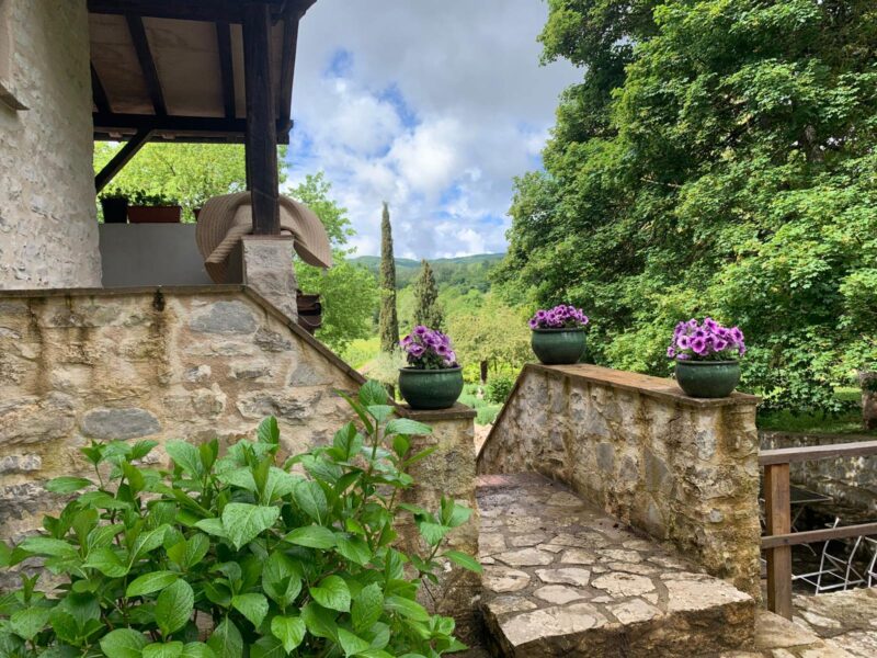 WhatsApp Image 2025-08-07 at 02.32.54 (5)